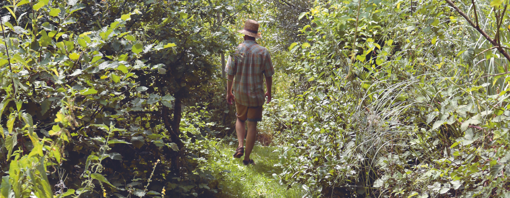 Fresque des jardins-forêt
