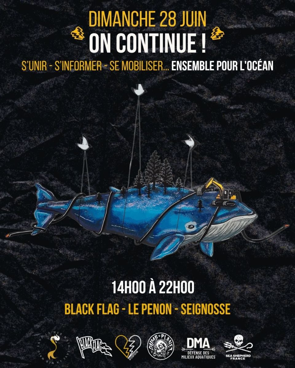 Black Flag